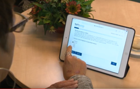 voorbeeldwebsite